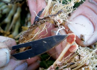 Kyk na die natuur en sy kyk na jou