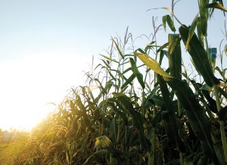 Wat op aarde is die pyplynvoorraad?