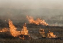 Top tips for burning veld
