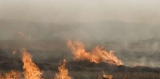 Top tips for burning veld