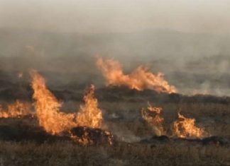 Top tips for burning veld