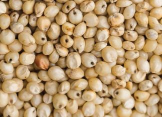 Belowende kultivars in die pyplyn