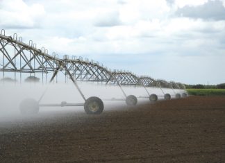 Bestuursbesluite vir beter wins