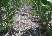 Dis maak of breek met dié stelsel