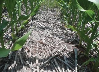 Dis maak of breek met dié stelsel