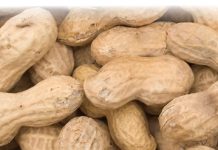 50th ANNUAL MEETING of APRES – in a nutshell