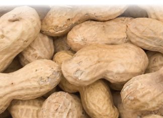 50th ANNUAL MEETING of APRES – in a nutshell