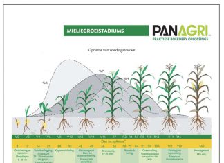 Is oorbemesting werklik ‘n sonde?