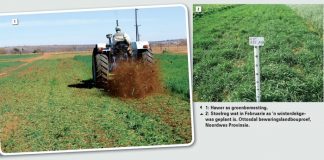Weidingsgewasse as dekgewasse in bewaringslandbou- en wisselboustelsels Deel 1: Eenjarige wintergewasse