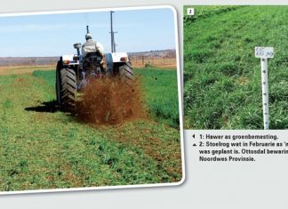 Weidingsgewasse as dekgewasse in bewaringslandbou- en wisselboustelsels Deel 1: Eenjarige wintergewasse