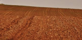 The effects of herbicides on soil life – Part 1: Microbial biomass and respiration