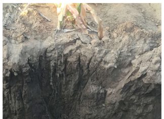 Ondergrondsuurheid ‘n werklikheid in hoëpotensiaal-watertafelgronde