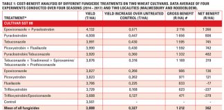 Increase wheat yield with these fungicides