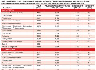 Increase wheat yield with these fungicides