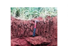 Skedulering – besproeiing se belangrikste inset