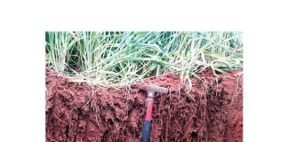 Skedulering – besproeiing se belangrikste inset