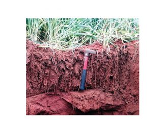 Skedulering – besproeiing se belangrikste inset