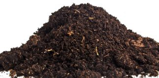 The effects of herbicides on soil life Part 2: Beneficial fungi and bacteria