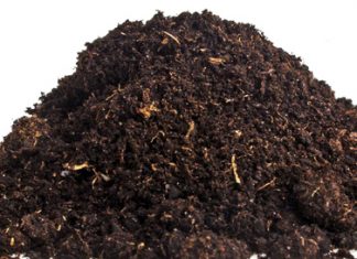 The effects of herbicides on soil life Part 2: Beneficial fungi and bacteria