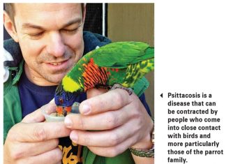 Animal diseases that can affect humans Part 5: Psittacosis or parrot fever