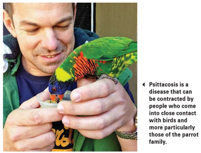 Animal diseases that can affect humans Part 5: Psittacosis or parrot