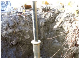 Argentynse en plaaslike praktyke in proewe vergelyk Deel 4: Evaluering van sekere grondeienskappe