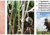 The South African Sclerotinia Research Network: Finding management solutions to a devastating pathogen