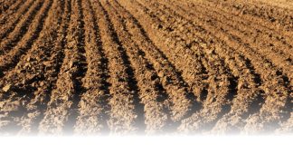 The effects of herbicides on soil life Part 3: Pathogenic fungi