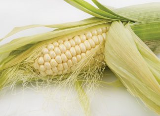 Kwantifiseer impak van swakker WM-grade