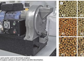 An incredible cereal and proudly African