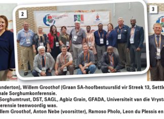 Die Aspoestertjie-gewas…