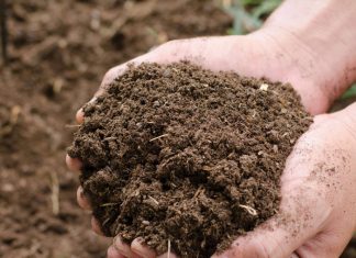 REITZ-KONFERENSIE fokus op herlewing