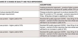 Wheat turnaround strategy: Value for producers?