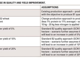 Wheat turnaround strategy: Value for producers?