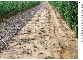 VOORKOM dié foute met bewaringslandbou