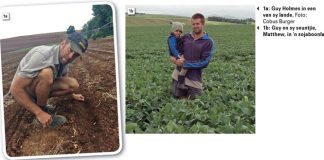 Van geen- tot strookbewerking –spoedsonthalwe