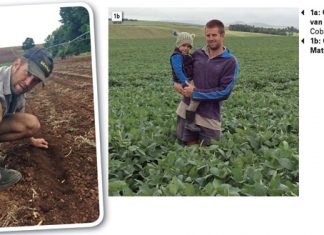 Van geen- tot strookbewerking –spoedsonthalwe