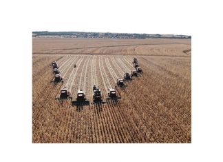 Koster-studiegroep gaan groot