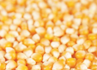 Só word bemarkingsjare bepaal