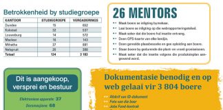 Interessante feite en statistieke oor die Jobs Fund