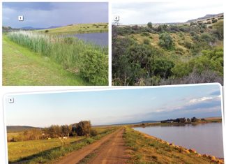 ’n Kykie na instandhouding van GRONDDAMME