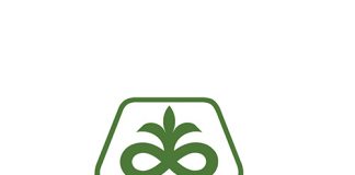 Mieliekuilvoer – meer navorsing, beter produkbesluite