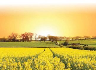 2019-tot-2024-prioriteite onder die soeklig