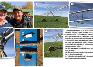 Gee ou spilpunte NUWE lewe