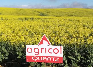 Kanolakultivars presteer ten spyte van swartstam