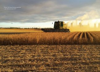 Neem mark in geheel in ag