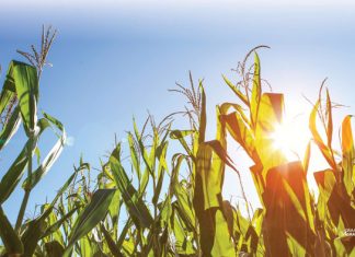 Wees effektief om doeltreffend te boer