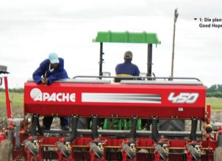 Argentynse en plaaslike praktyke in proewe vergelyk Deel 1: Agtergrond en proefpraktyke