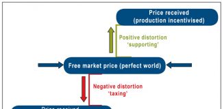 The INEFFICIENT producer? Questioning the South African wheat value chain’s core competitiveness