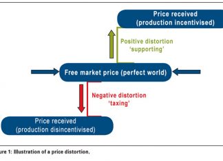 The INEFFICIENT producer? Questioning the South African wheat value chain’s core competitiveness